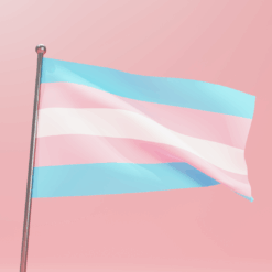 Gender-Affirming Care, Explained and the Importance to the Health Care System for All Americans